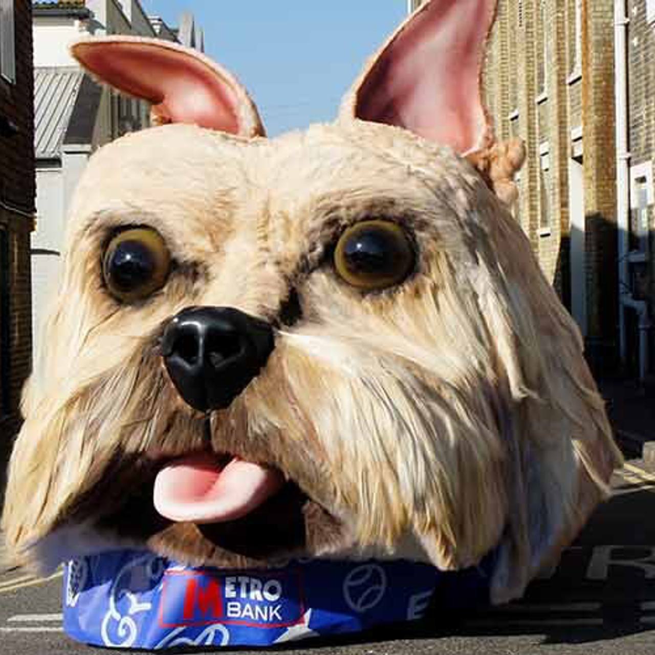 Giant Yorkshire Terrier Dog Prop Float