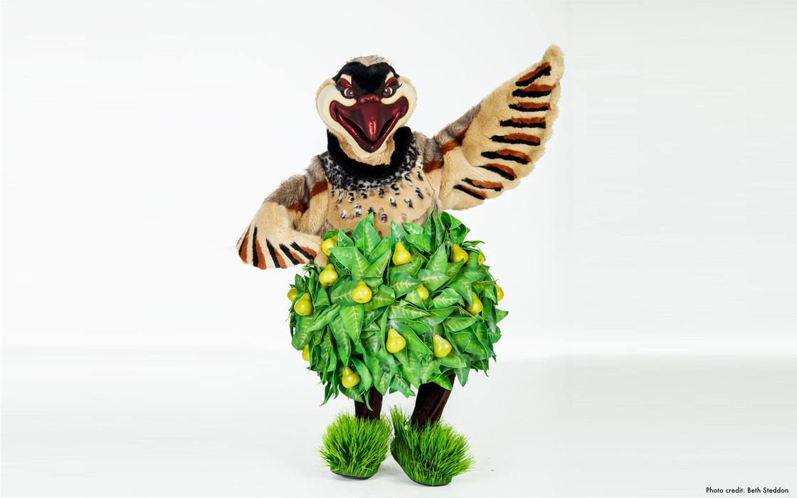 Masked Singer Christmas Special Costume Partridge