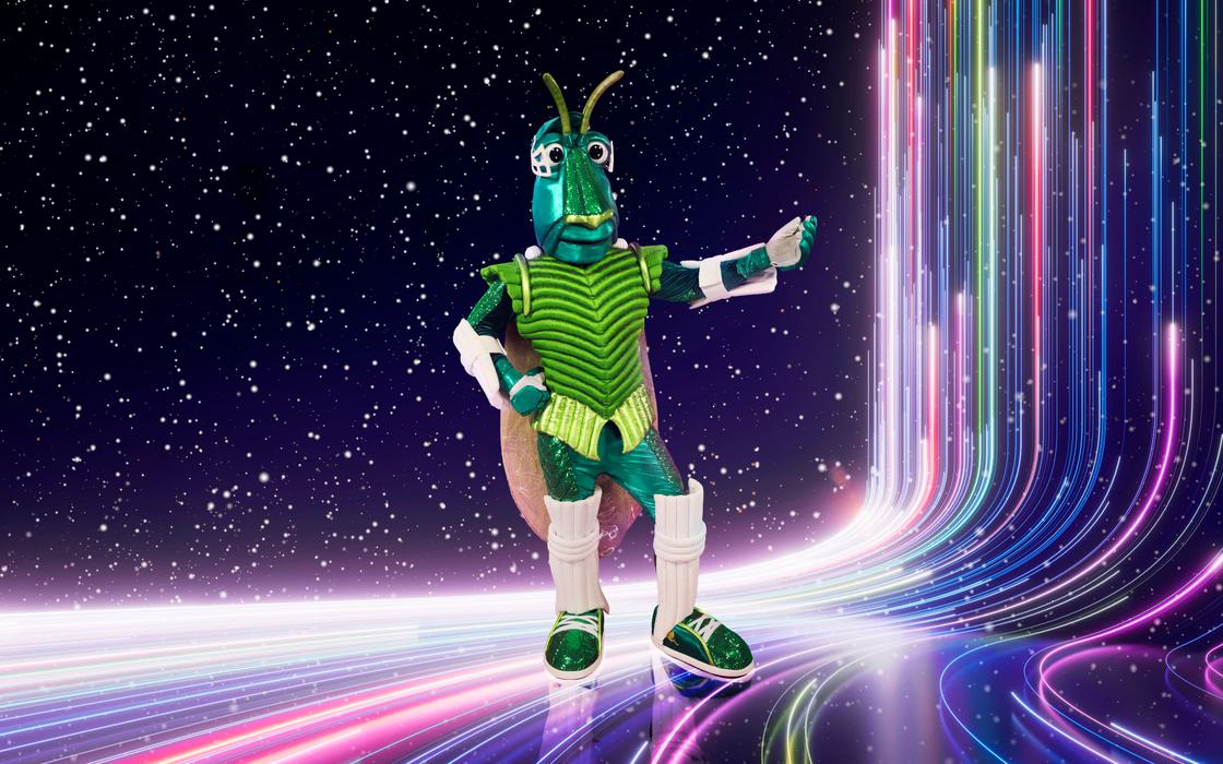 Masked Singer Costume Cricket