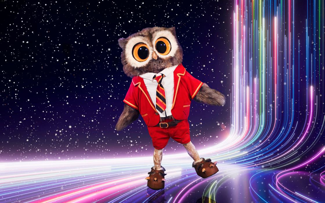 Masked Singer Costume Owl