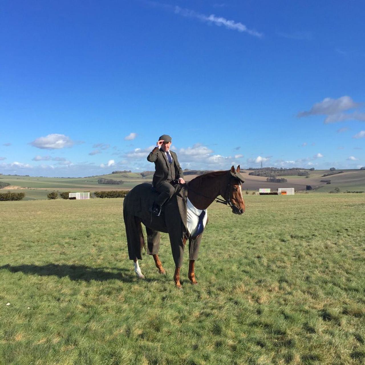 Suited horse