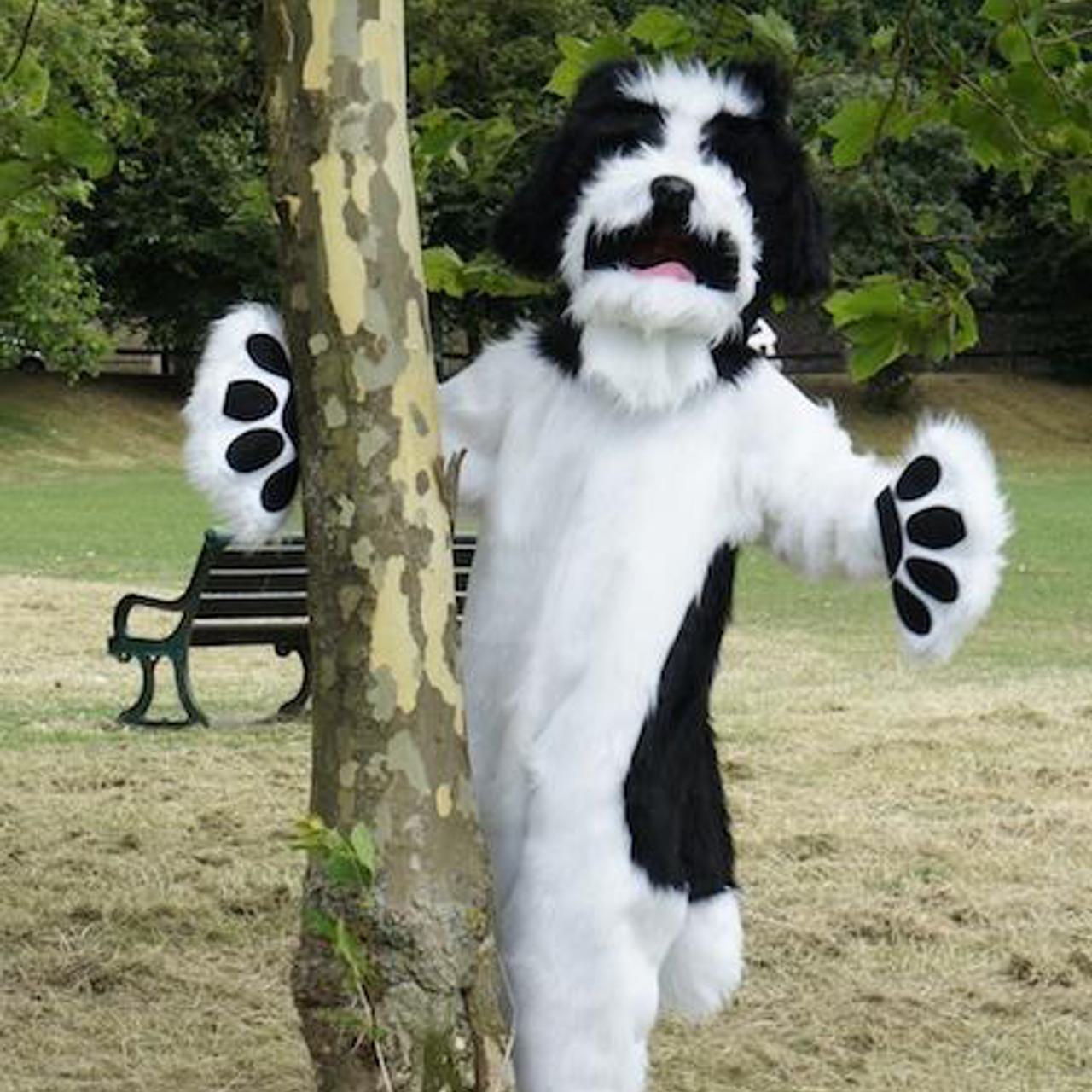 Bespoke dog costume