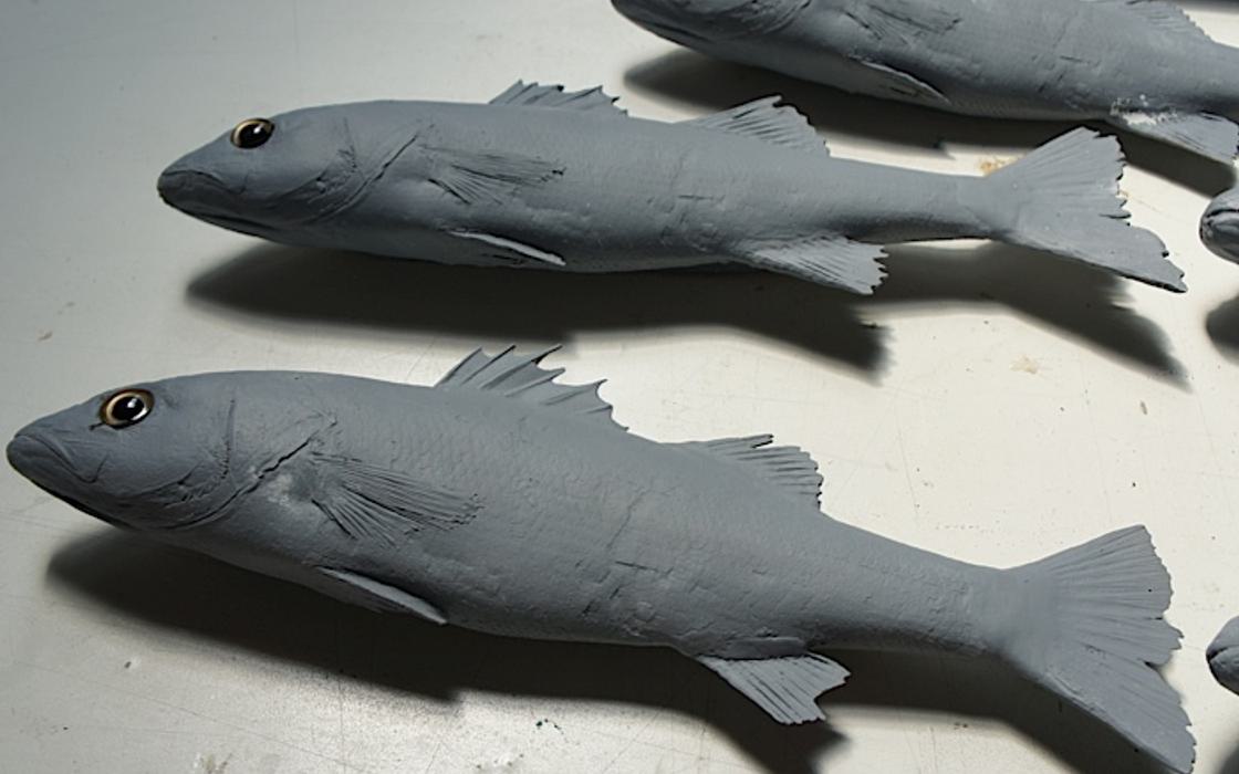 RNLI Taxidermy fish display prop - cast moulded fish