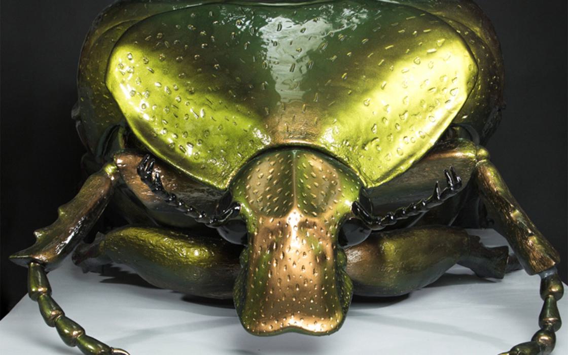 Plunge creations intu big bugs bettle