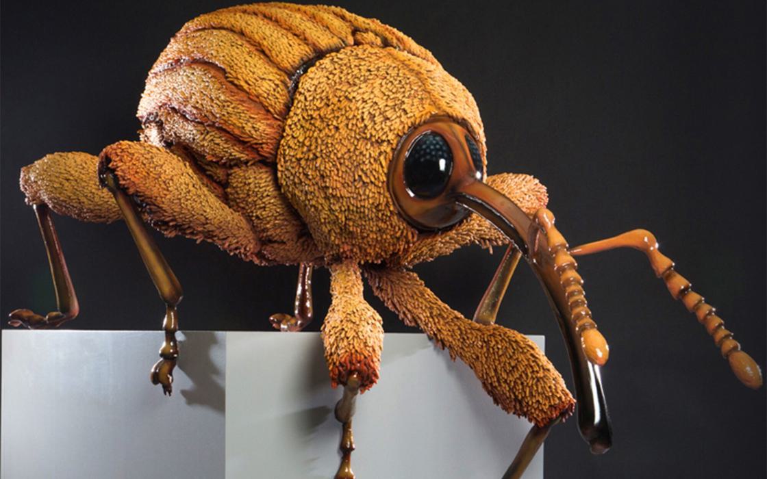 Plunge creations intu big bugs yellow nut weevil