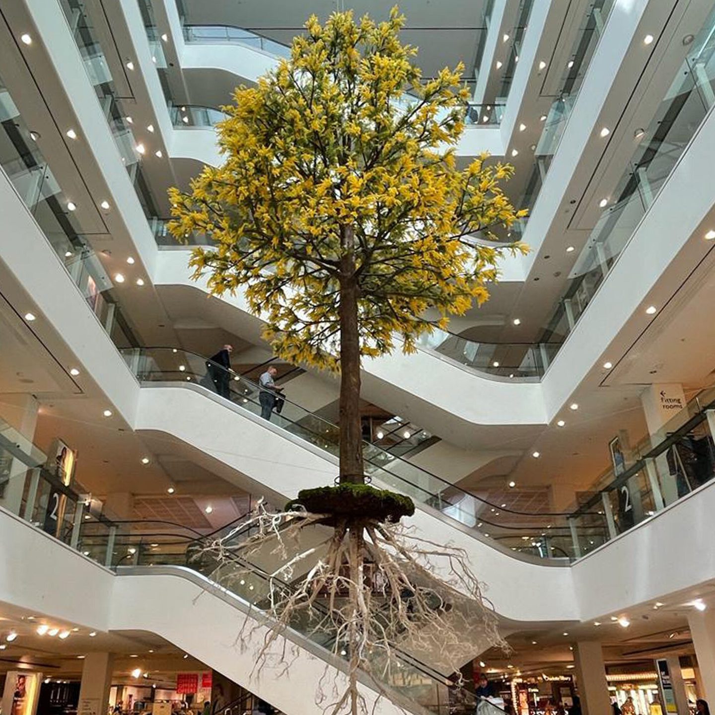 Beware, flying trees! | Plunge Creations